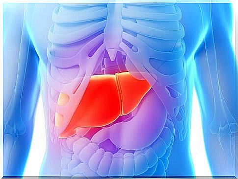 11 Foods That Help Cleanse Your Liver