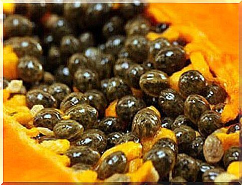 5 super benefits of papaya seeds