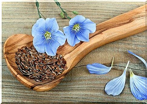 Flaxseed on a wooden spoon