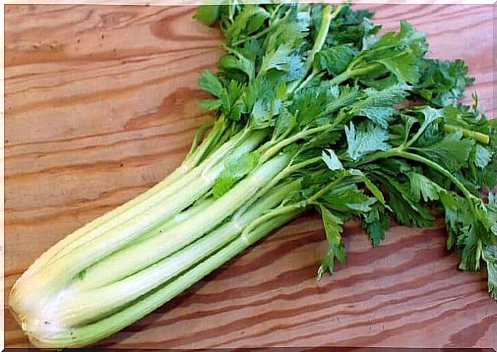 Celery