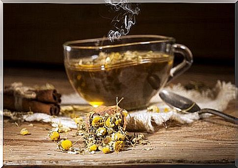 chamomile