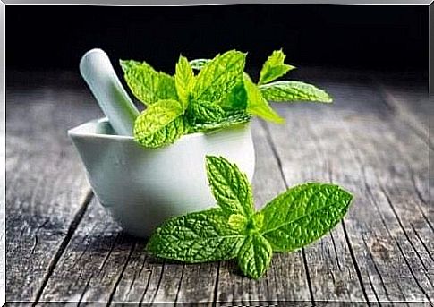 Mint and milk against intestinal parasites