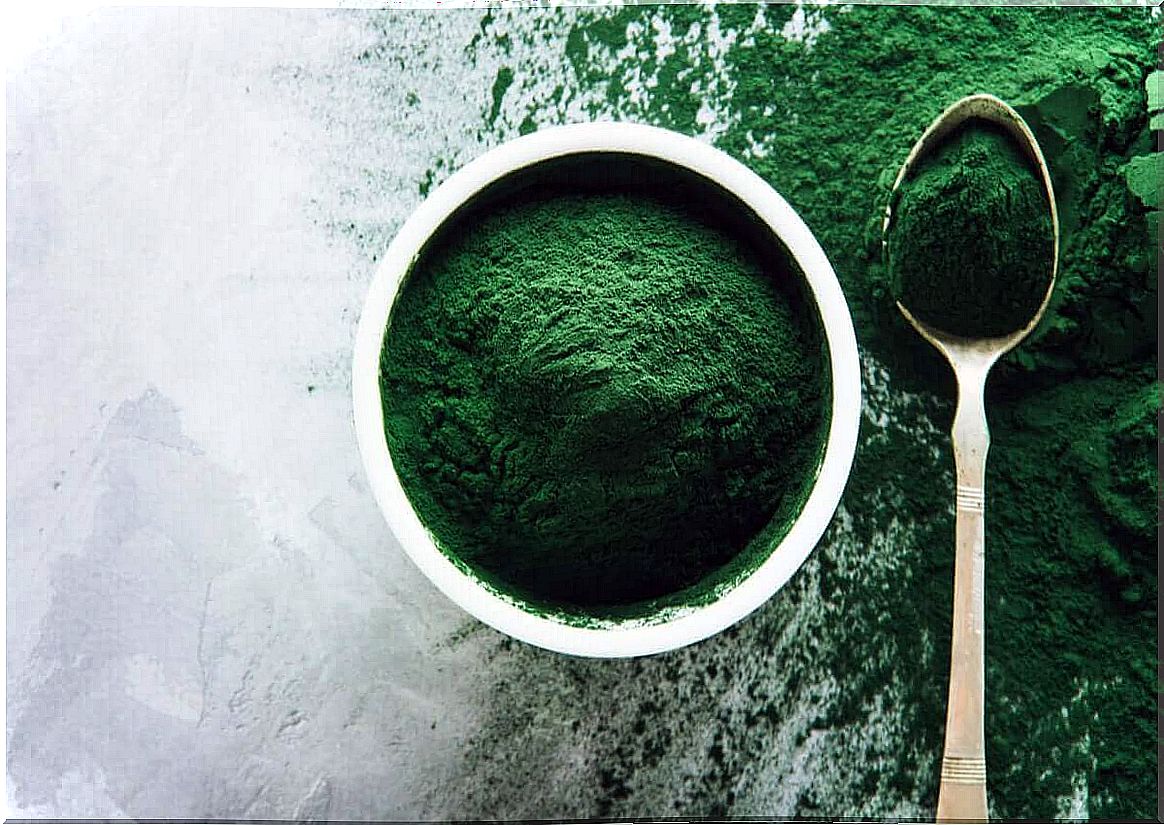 Spirulina in a bowl