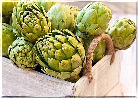 Artichoke keeps cholesterol under control