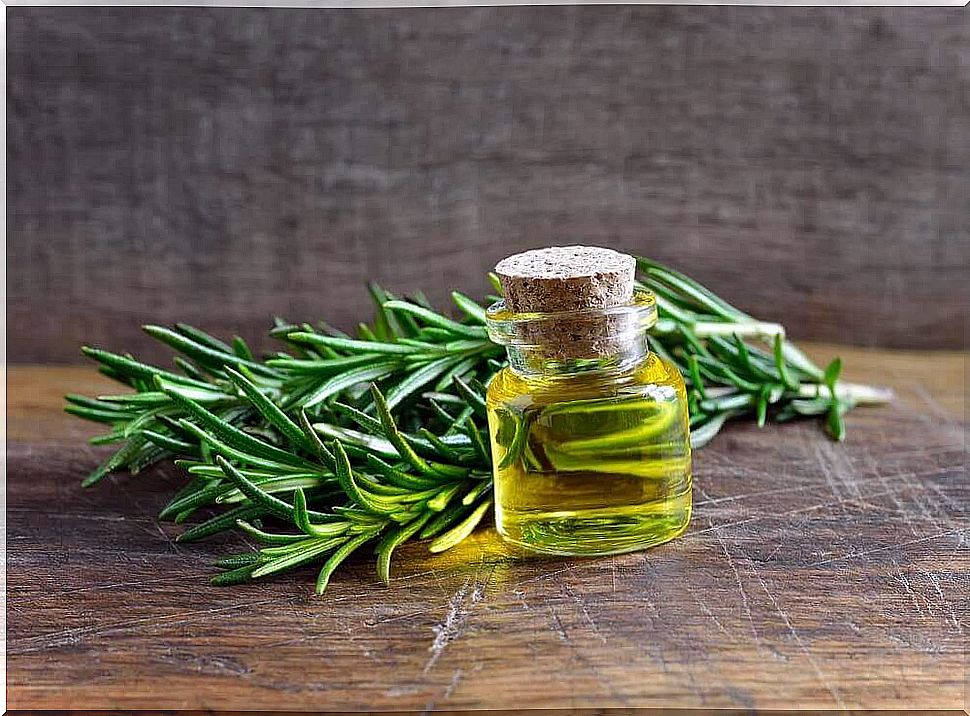 Discover the incredible uses and benefits of rosemary