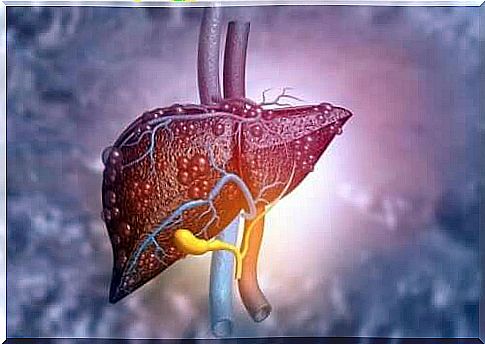 An image of a liver