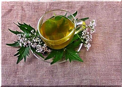 Four relaxing infusions like with valerian