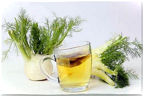 Cup of fennel tea and fennel