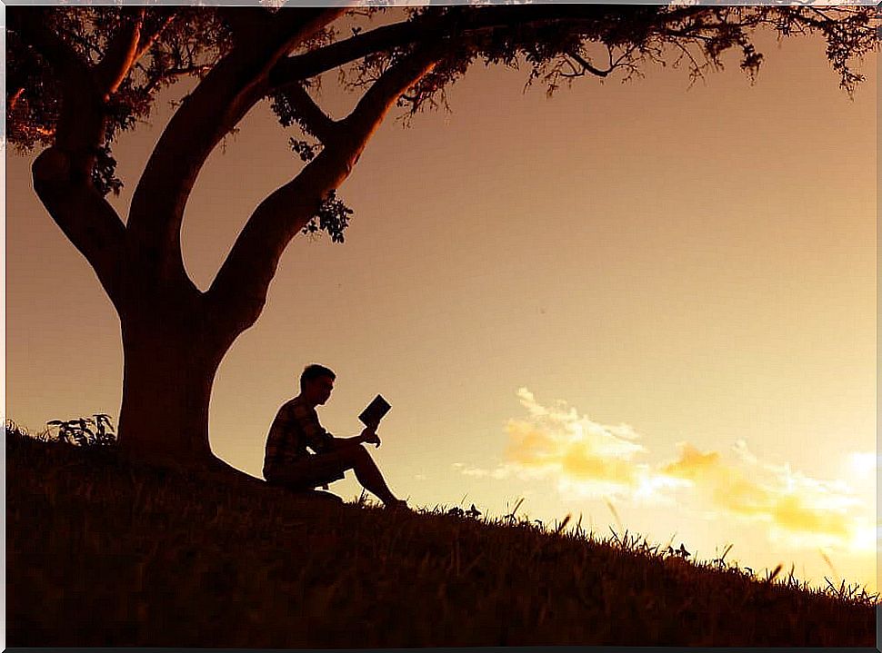 Man under a tree at dusk