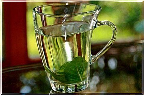 Keep fever under control with basil tea