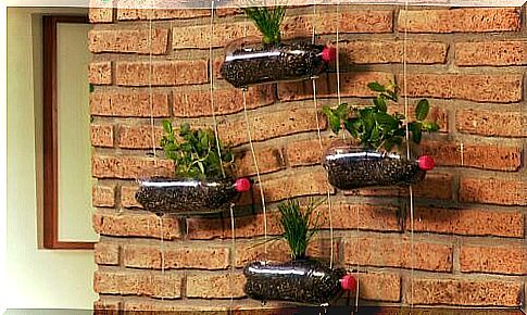 Design the hanging garden