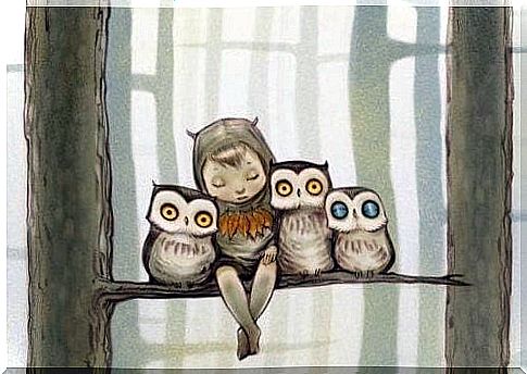 owls