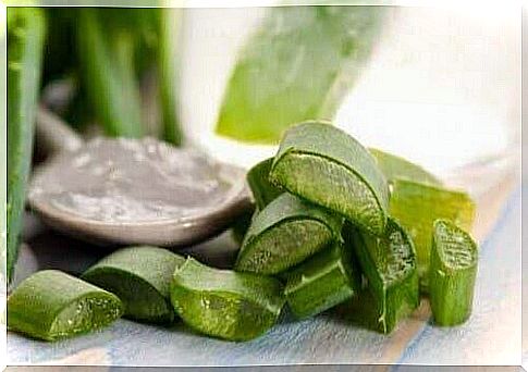 Sliced ​​aloe vera and gel