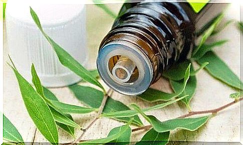 Tea tree oil is one of the natural remedies to fight fungus