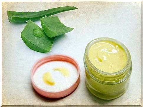 Aloe vera lotion and brewer's yeast for healthy hair