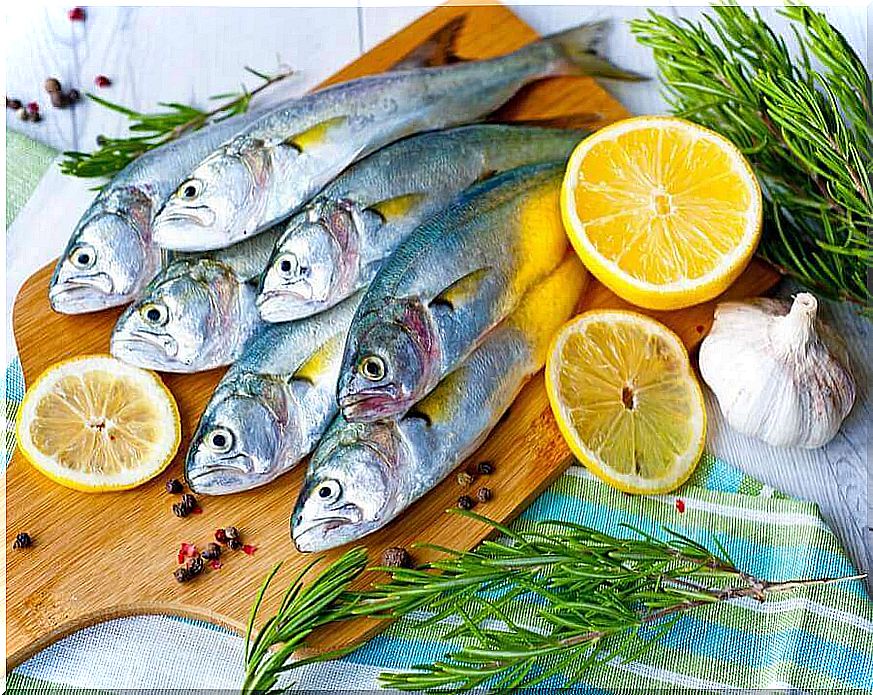 Fresh fish to make gratin fish