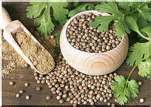 Coriander is known for its stimulating properties