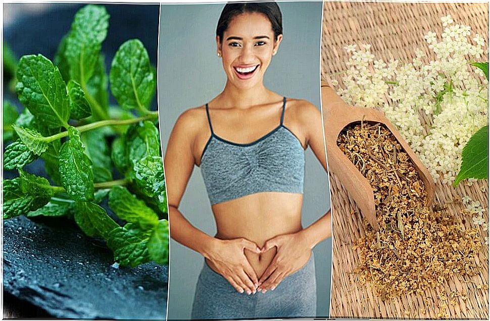 Take care of your digestion with 6 medicinal plants