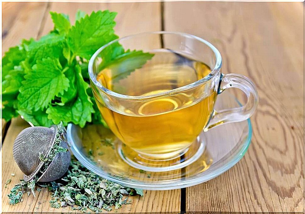 Cup of lemon balm tea 