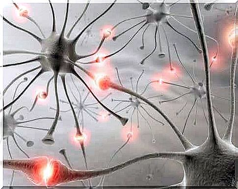 Artist's interpretation of healthy brain neurons