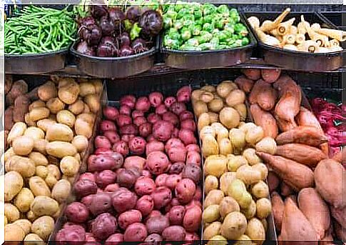 The difference between tubers, root tubers and bulbs