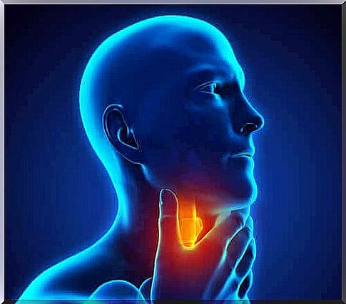 The most common throat diseases