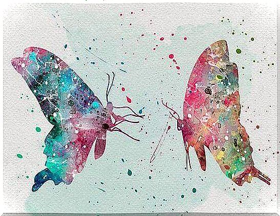 butterflies