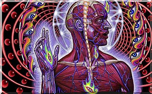 The pineal gland the third eye