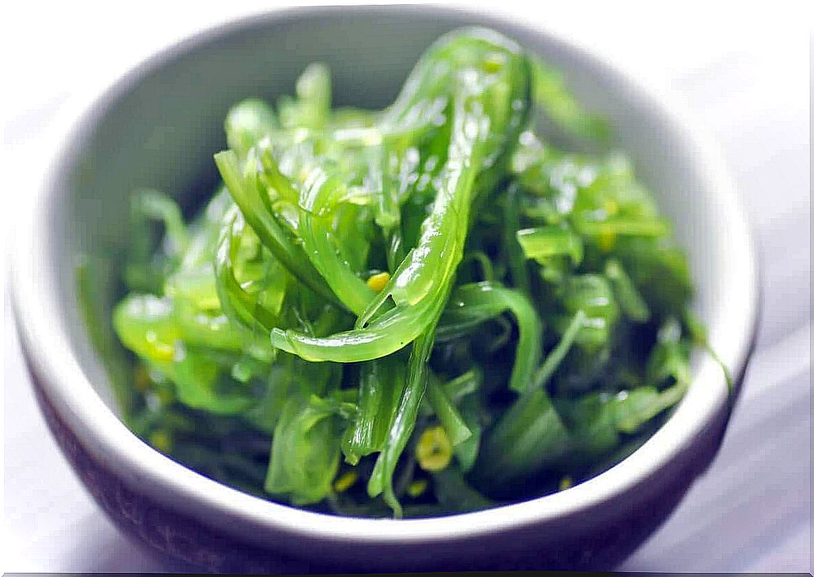 Bowl with algae