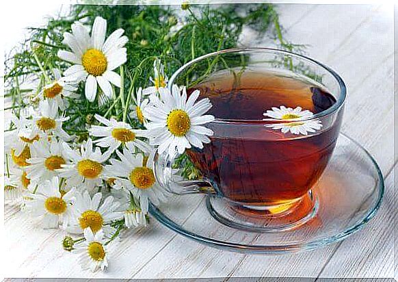 Chamomile and chamomile tea