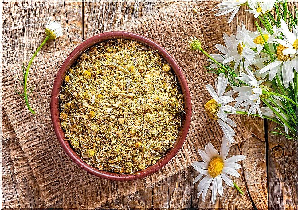 Treating Irritable Bowel Syndrome With Chamomile