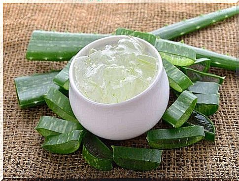 Aloe vera to treat styes