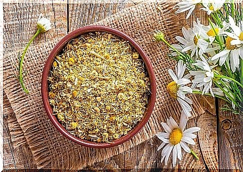 With chamomile you can make styes disappear