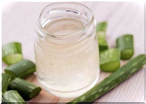 Aloe vera is one of the remedies for gastritis