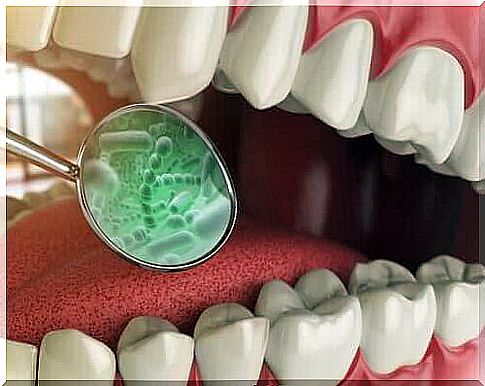 What kind of bacteria are in your mouth?